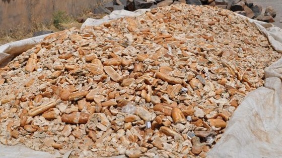 Dünyada en çok ekmek israf eden 3. ülkeyiz: Günde 4,3 milyon ekmek çöpe gidiyor