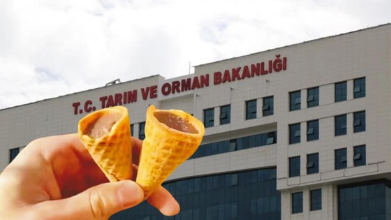 Bakanlığa şikayet yağdı! Dışı kek içi zehir