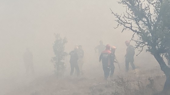 Bolu yangınla boğuşuyor! Kontrol altına alınan yangın tekrar alevlendi