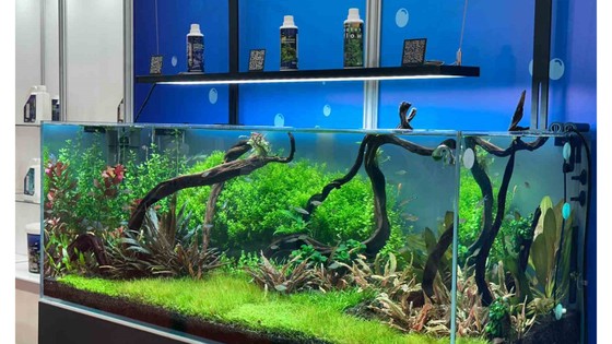Pet sektörü ithalatını azaltmayı hedefliyor