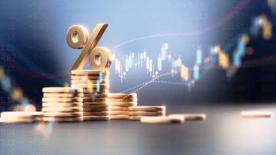 Borsa mı, altın mı, Dolar mı, Euro mu? İşte yanıtı...