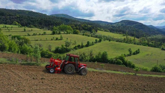 Ordu’da boş arazilerden bereket fışkırıyor! Atıl araziler üretime açıldı
