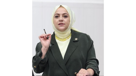 Denizli Milletvekili Ün zeytin üreticisinin sorunlarına dikkat çekti: Zeytin üreticisi zor durumda!