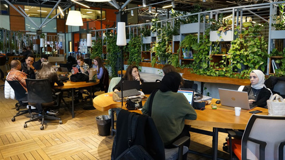 BTM yeni yılın ilk çağrı dönemine çıktı