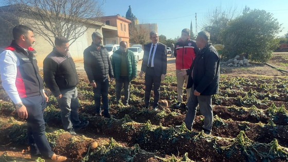 500 bin dekar alanda, 20 çeşit üründe don zararı incelendi