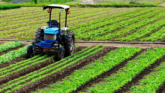 Tarım ÜFE dört ayın ardından yeniden yükselişe geçti