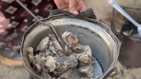 Gazze’de halk açlıktan deniz kaplumbağası yemeye başladı