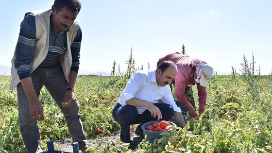 Başkan Altay duyurdu: Fidan ve fide desteği için başvurular başladı