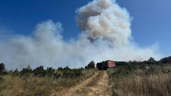 Silivri'de ormanlık alanda yangın