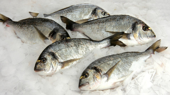 Su ürünleri ve hayvansal mamuller ihracatının yüzde 47’si Ege’den yapıldı