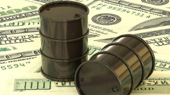 Petrol şoku Japonya’da vergi tartışmasını alevlendirdi