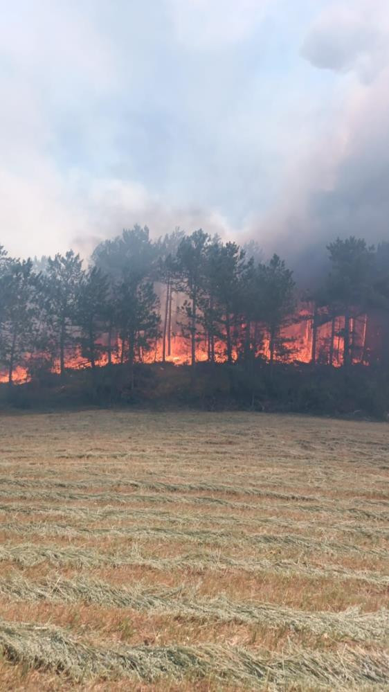 Türkiye'nin dört bir yanında yangın çıktı! İşte dakika dakika yaşananlar - Resim : 19