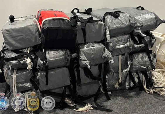 Kokain inekleri: Uyuşturucu kartellerinin yeni yöntemi! - Resim : 2