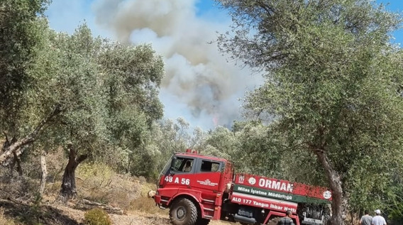Çanakkale yangınlarının faturası: 118 yangında 7 bin hektar orman yok oldu - Resim : 2
