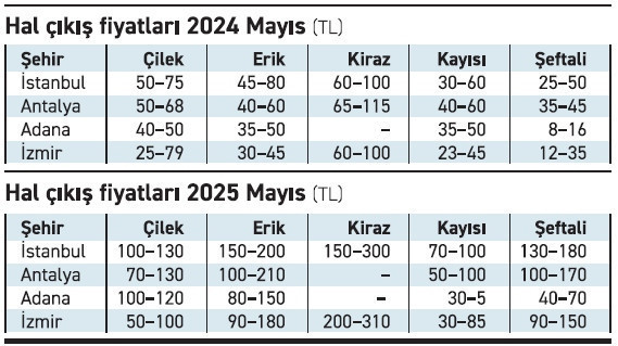Meyvede fiyat artışının asıl nedeni üretim maliyetleri - Resim : 1