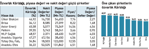 Güçlü şirketler düşüşlerde yatırımcıya fırsat sağlıyor - Resim : 1
