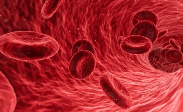 Kolesterolü kontrol altında tutmaya yarayacak 5 altın öneri - Resim : 1