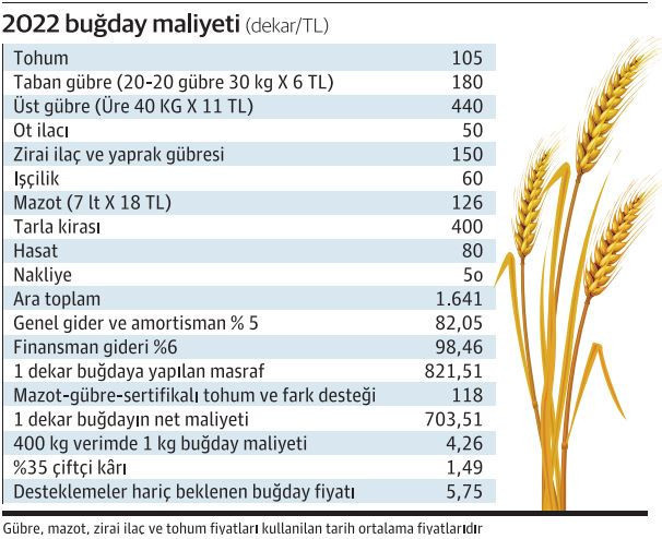 Buğday taban fiyatında ‘haftalık güncelleme’ beklentisi - Resim : 1