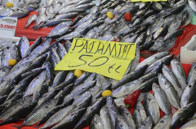 Palamutun 3 tanesi 100 liraya indi - Resim : 1