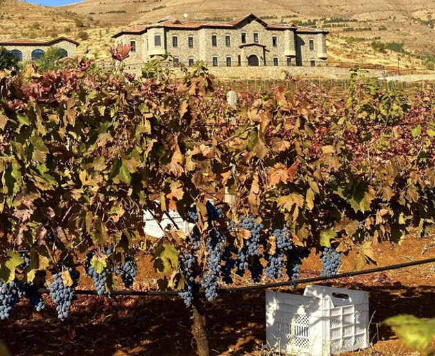 Memleketinde butik bağ kurdu arkadaşını da yatırıma ikna etti - Resim : 2