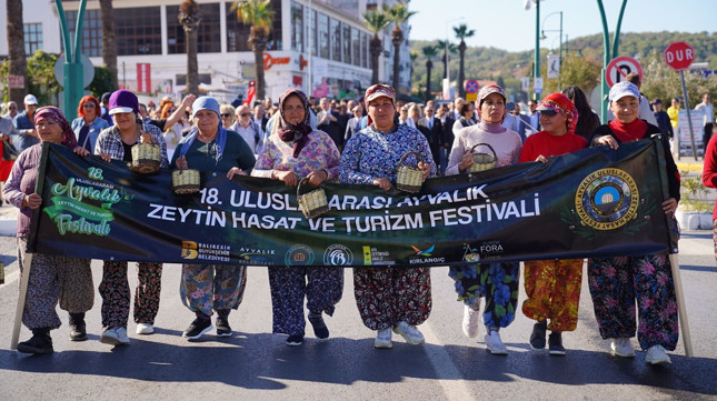 Zeytinde hasat zamanı… - Resim : 2