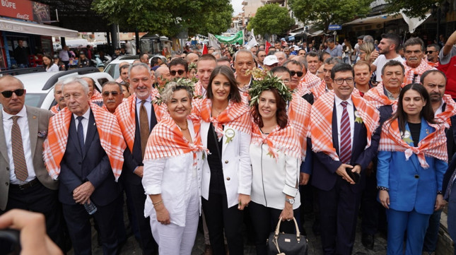 Zeytinde hasat zamanı… - Resim : 1