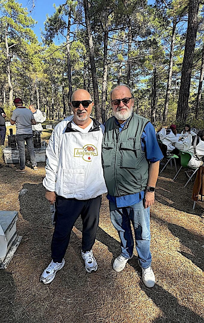 Arının kanadından soframıza çam balının izinde - Resim : 2