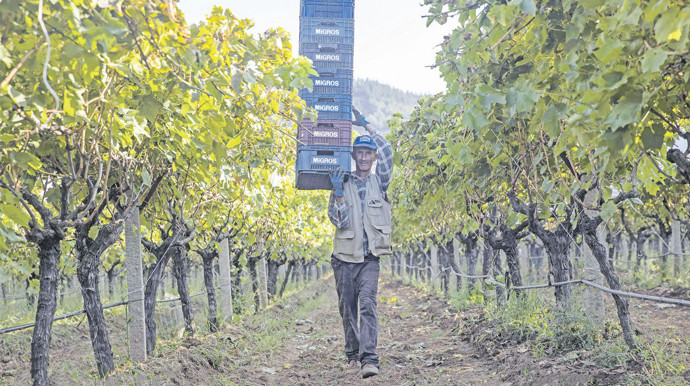 Sürdürülebilir tarım ve gıda israfı ile mücadele için anahtar: Yerelleşme - Resim : 1