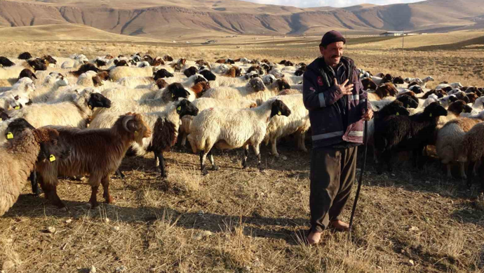 "K&ouml;y&uuml;mde yaşamak i&ccedil;in bir &rsquo;s&uuml;r&uuml;&rsquo; nedenim var" projesi ile k&uuml;&ccedil;&uuml;kbaş hayvancılığına rekor destek - Resim : 1