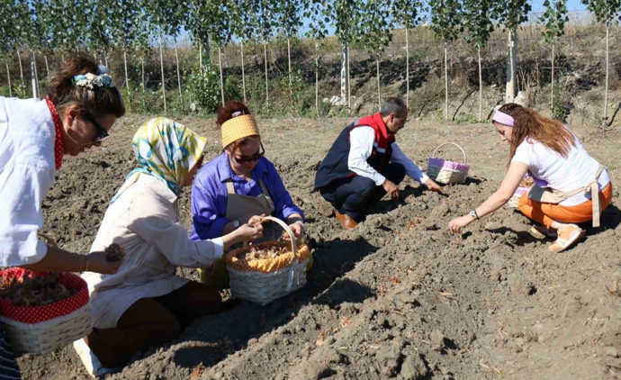 'Dünyanın en pahalı bitkisi' safran üretimi için harekete geçildi - Resim : 1