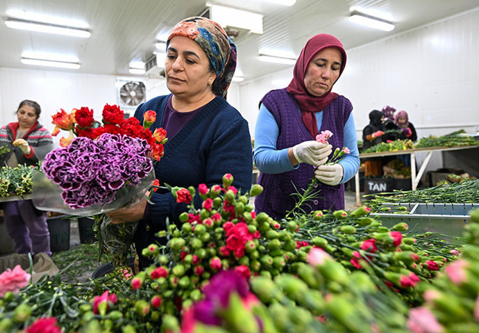 Çiçek sektörü Japonya pazarına açılmak istiyor - Resim : 1