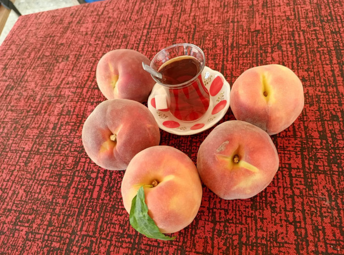 Fiyatı bir g&uuml;nde 30 liradan 15'e d&uuml;şt&uuml;: &Uuml;retici zor durumda - Resim : 4