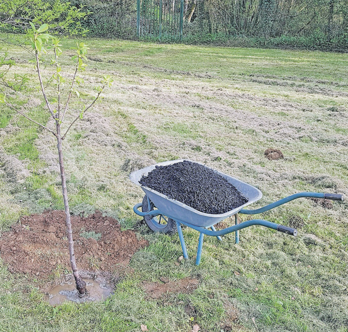 İnsan atığından üretilen biyokömür, küresel gübre krizine çözüm olabilir - Resim : 1