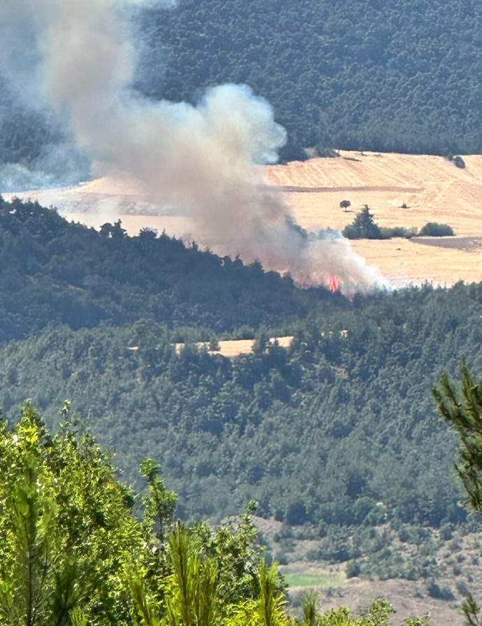 Türkiye'nin dört bir yanında yangın çıktı! İşte dakika dakika yaşananlar - Resim : 11