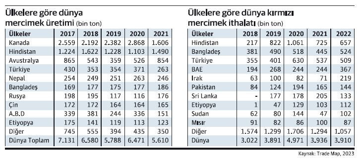 “Mercimek Teyze” Ayşe Baysal’ı hatırlayan var mı? - Resim : 1