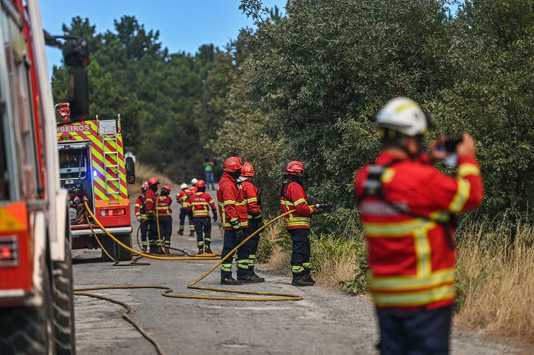 Portekiz'de büyük orman yangınlarını söndürmek için 1700'den fazla itfaiyeci görev alıyor - Resim : 1
