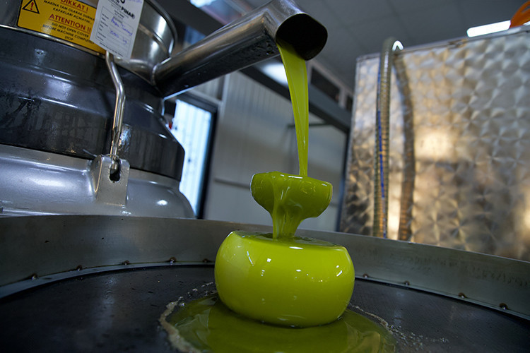 Kadın girişimci köyüne zeytinyağı tesisi kurdu, 15 kişiye iş imkanı sağladı - Resim : 1