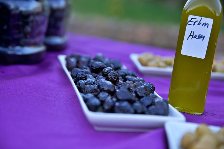 Kadın girişimci köyüne zeytinyağı tesisi kurdu, 15 kişiye iş imkanı sağladı - Resim : 2