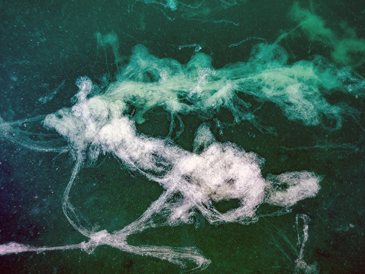 Marmara Denizi’ni kurtarma planı! İleri biyolojik arıtma tesisi yapılması önerisi geldi - Resim : 1