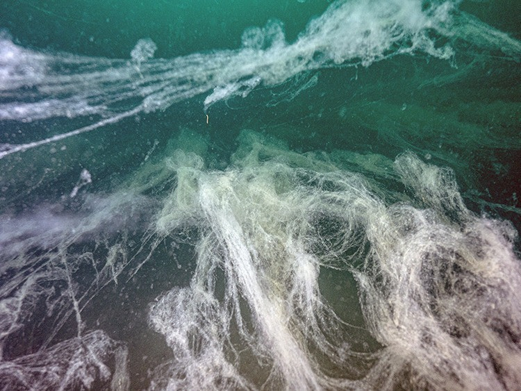 Marmara Denizi’ni kurtarma planı! İleri biyolojik arıtma tesisi yapılması önerisi geldi - Resim : 3