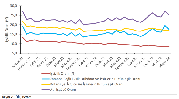 Kadın işsizliği sürüyor: İşsizlik düştü, cinsiyet farkı arttı - Resim : 2