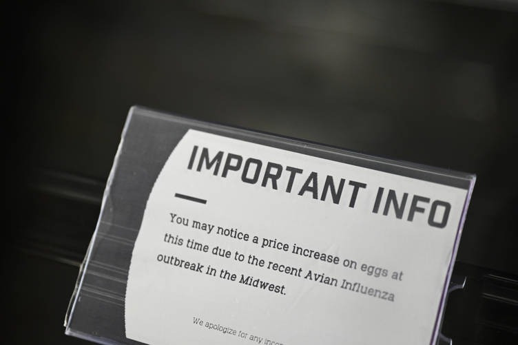 ABD'de yumurta fiyatları son 10 yılın en yüksek artışını kaydetti - Resim : 3