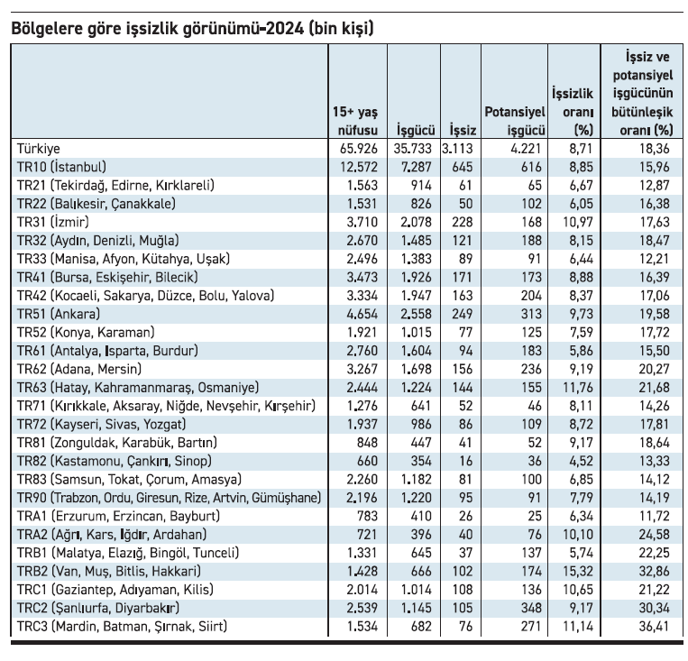 İşsizliğin arka yüzü bölgelere nasıl yansıdı? - Resim : 1