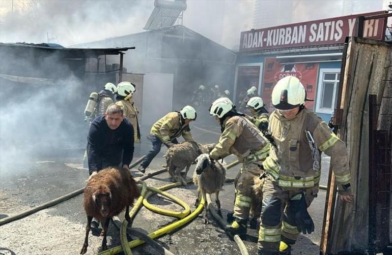 İstanbul'da kimya deposunda çıkan yangın söndürüldü - Resim : 3