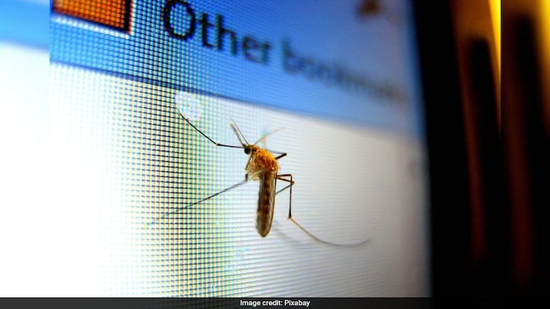 Çin’den mikro drone devrimi: Sivrisinek kadar küçük, savaşta etkisi büyük - Resim : 1