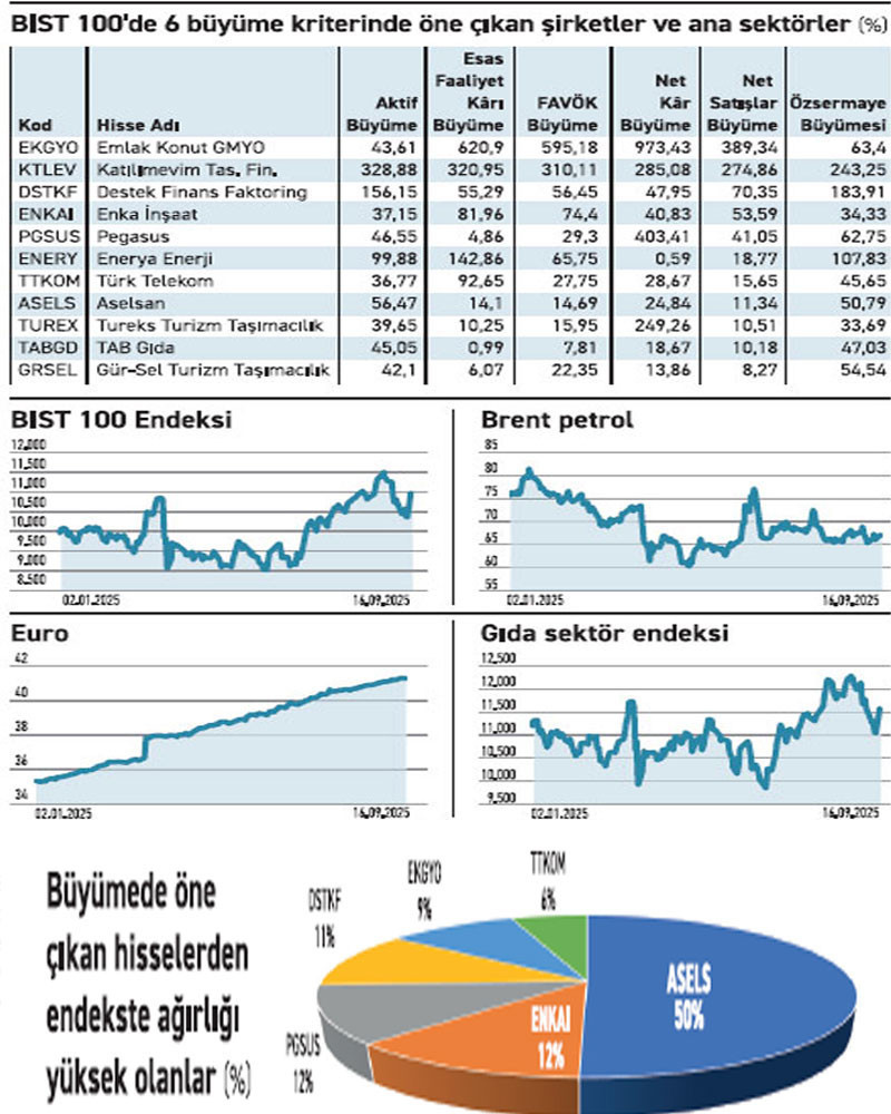 6 kriterde büyüyen o şirket endekste %6,8 ağırlığa sahip - Resim : 2