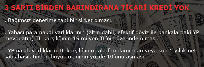 Dolar 16,50'nin üzerinde dengelendi - Resim : 1