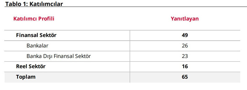 TCMB Anketi: Piyasa katılımcılarının enflasyon beklentisi geriledi - Resim : 3