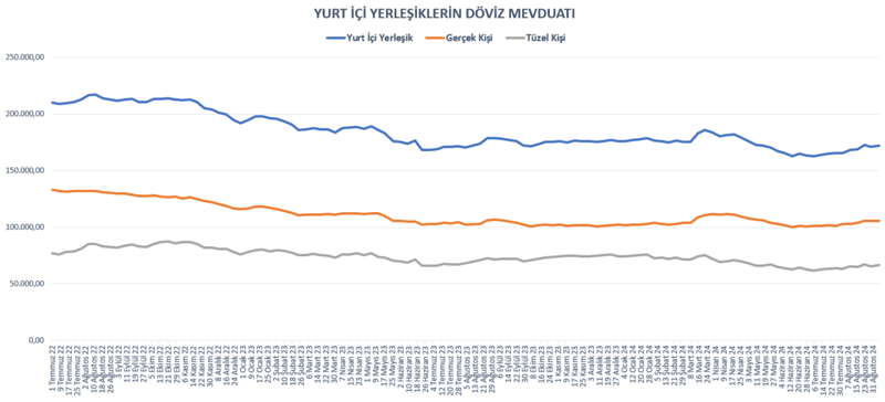 Yurt içi yerleşiklerin döviz mevduatı arttı - Resim : 1