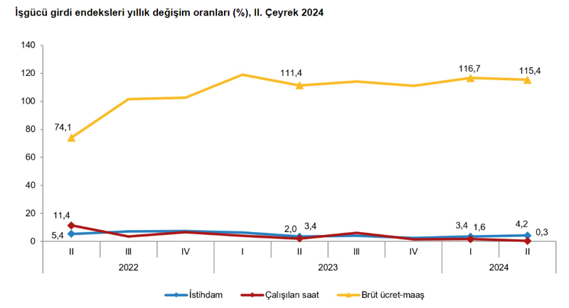 TÜİK istihdam endeksi açıklandı: Maaşlar ve çalışma saatleri nasıl değişti? - Resim : 1